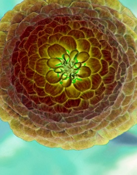 F 021A